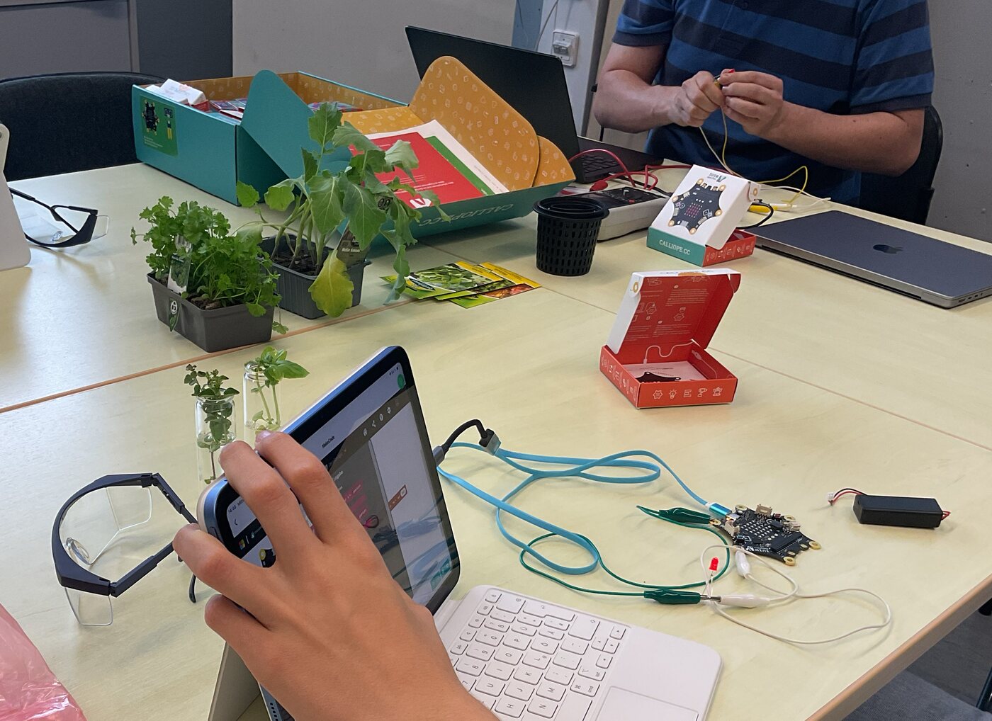 Mikrocontroller, Sensorik und Setzlinge auf einem Tisch