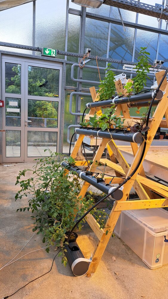Der Aufbau im Gewächshaus der Universität Konstanz